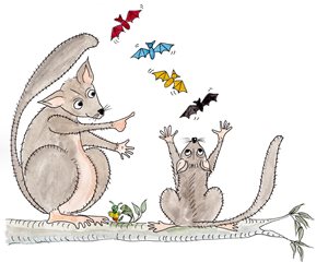 possums-w-bats.jpg